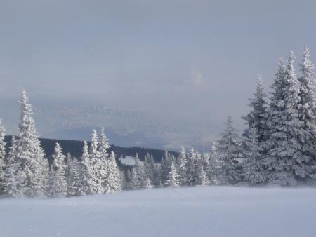 Sofia vue de Vitosha