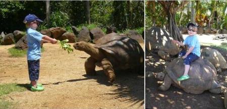 Victor, l'ami des b�tes