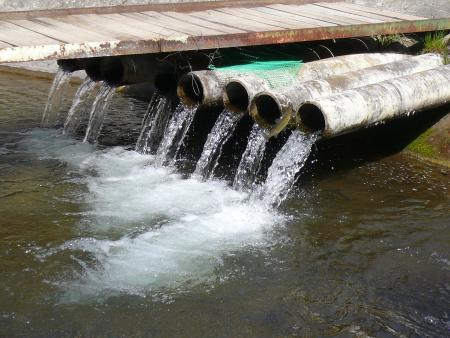 Les truites s'�chappent!!!!