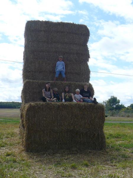 Les joies de la campagne!!!