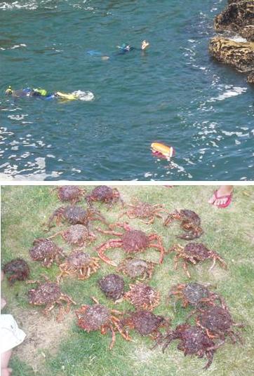 P�che � Quiberon