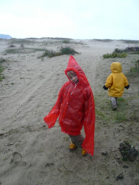 Le petit chaperon rouge