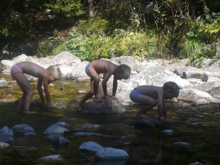 A la queue Leu-Leu....