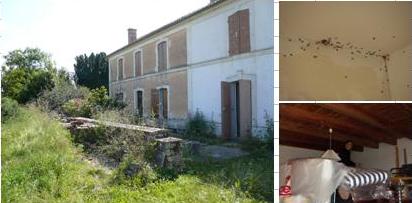 La maison des araign�es....