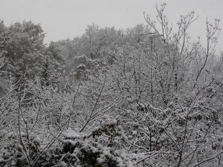 Week-end tranquille...